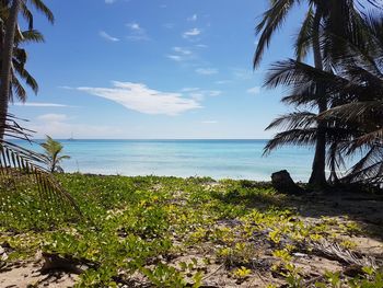 Scenic view of beach