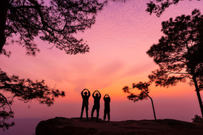 Silhouette people standing by tree against sky during sunset