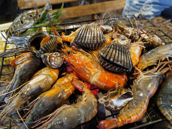 High angle view of fish in plate