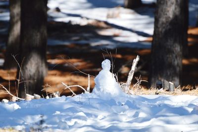 Low angle shot snowman in the woods