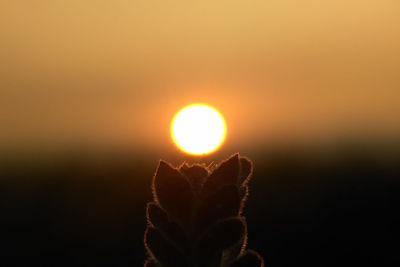 Close-up of sun during sunset