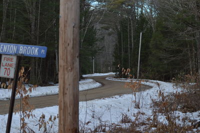 Close-up of road sign by trees in forest during winter