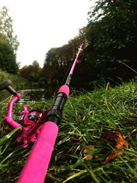 Close-up of pink bicycle on field