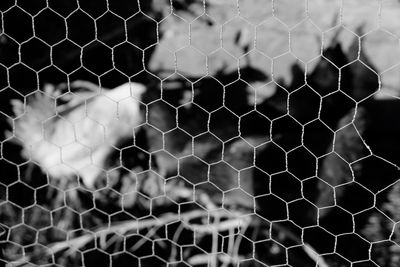 Close-up of chainlink fence