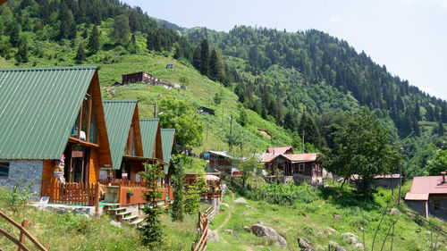Houses by trees and mountains in forest