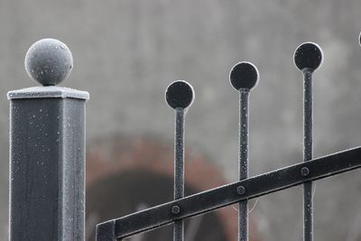 Close-up of metal fence against sky