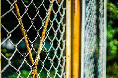 Close-up of chainlink fence