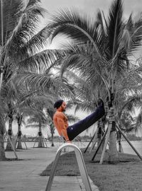 Palm trees against sky