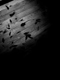 Close-up of shadow on floor