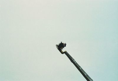 Low angle view of tree against clear sky