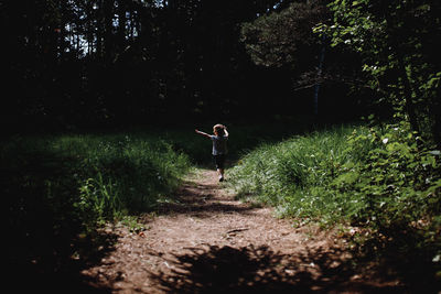 Rear view of man walking in forest