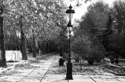 Footpath at night