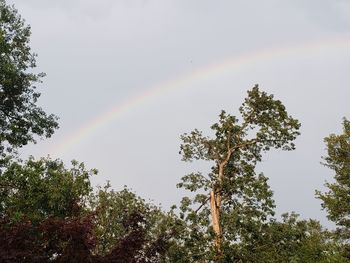 Low angle view of rainbow against sky