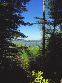 Scenic view of calm sea against blue sky