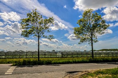 Greenhouses, trees, road and blue sky with clouds