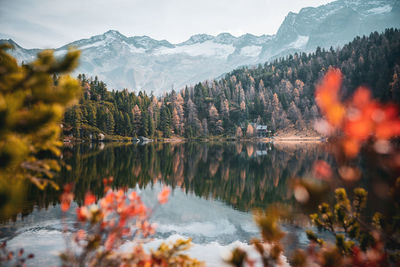 Reflection of trees in lake during autumn