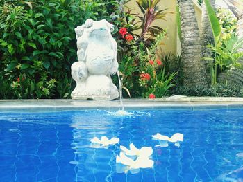 Fountain in garden