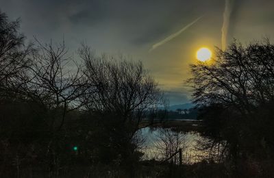 Bare trees against sky during sunset