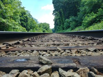Railroad track by trees against sky