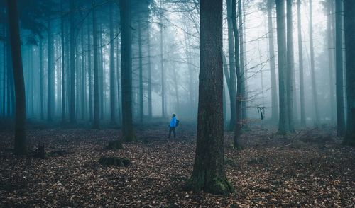 Man standing amidst trees in forest during foggy weather