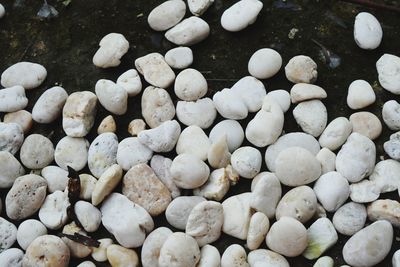 Full frame shot of pebbles on beach