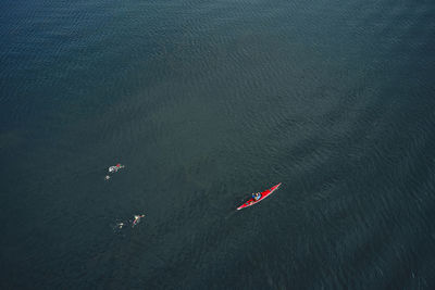Professional swimmers training together in calm sea water near person kayaking and controlling process
