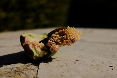 Close-up of bread on table