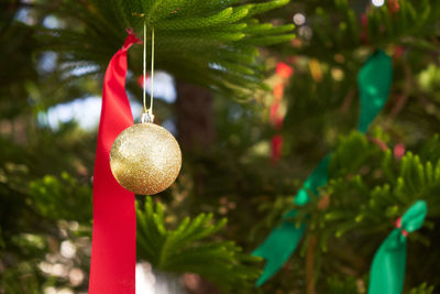 Close-up of christmas tree