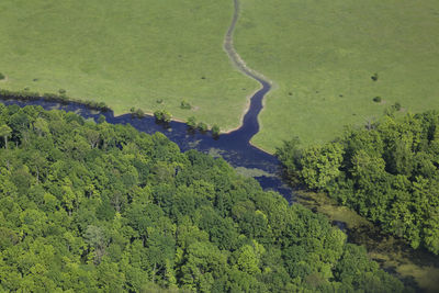 Aerial view of the floodplain on the odra river with the forest and pastures, croatia