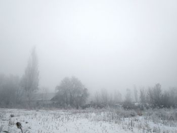 Trees on field against sky during winter