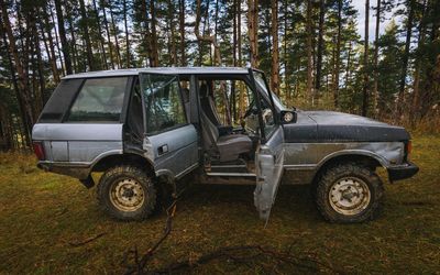 Sports utility vehicle in forest