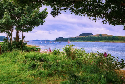 Scenic view of lake against sky