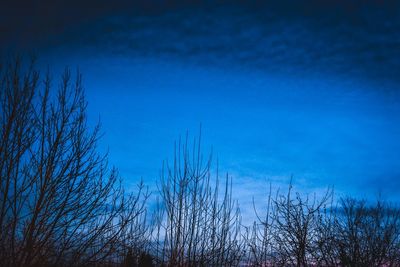 Low angle view of bare trees against blue sky