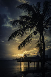 Silhouette palm trees by sea against sky at sunset