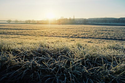 Scenic view of field against sky during sunset