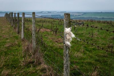 Wooden fence on field against sky