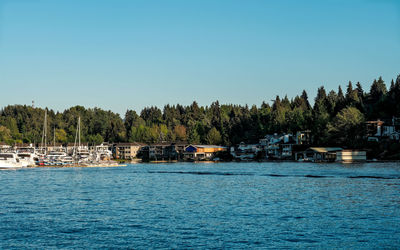 Scenic view of sea against clear blue sky