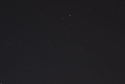 Low angle view of star field against sky at night