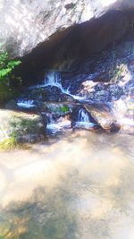 Scenic view of waterfall in forest