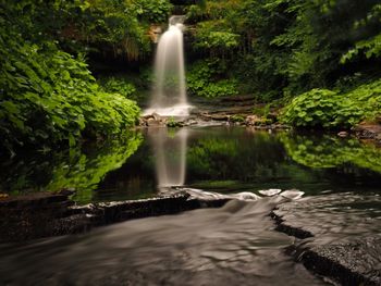 Scenic view of waterfall in forest