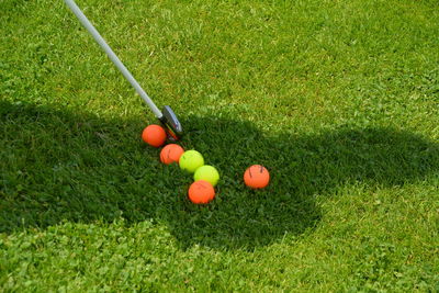 Shadow of person with golf club and ball on field