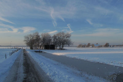 Trees on snow covered landscape against sky