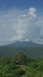 Scenic view of landscape against sky