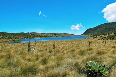 Lake against a mountain background, lake ellis in mount kenya national park, kenya