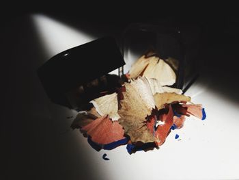 High angle view of leaf on table