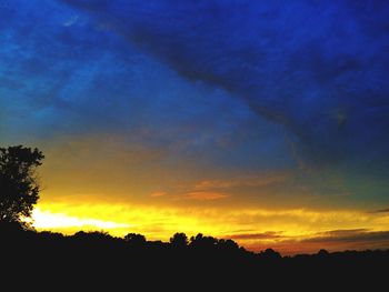 Silhouette of trees at sunset