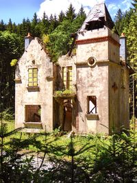 House against trees
