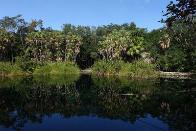 Scenic view of lake against clear sky