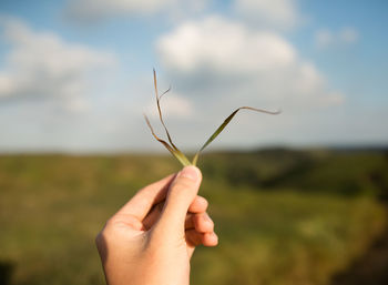 Close-up of cropped hand