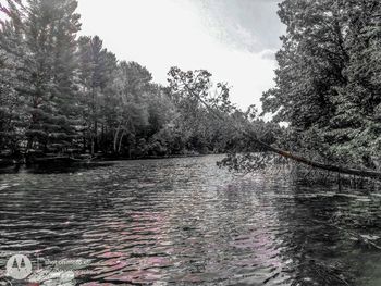 Scenic view of river against sky